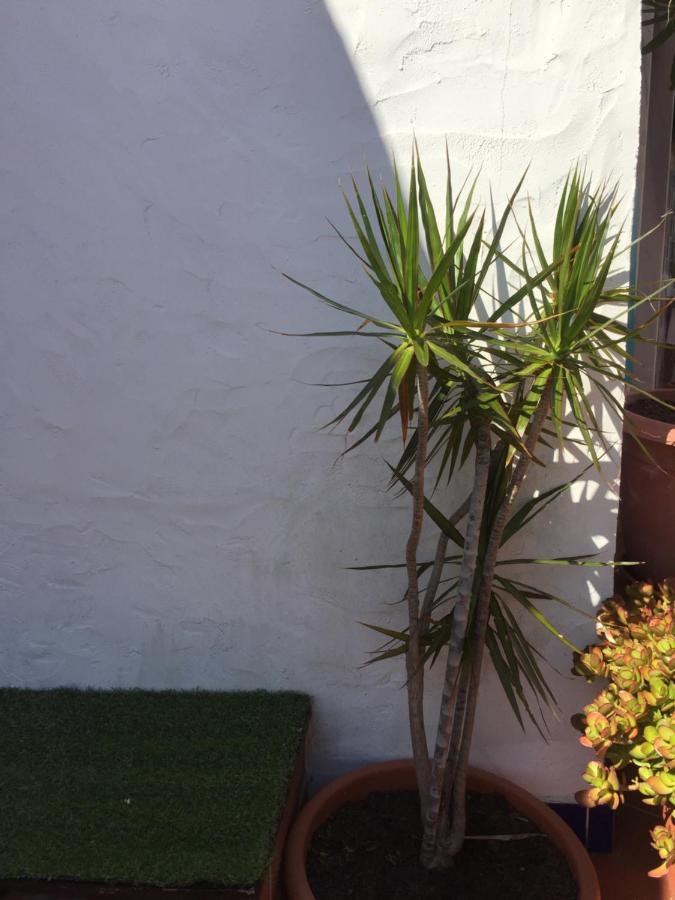 Vila Fidalgo Apartment Nazare Ngoại thất bức ảnh